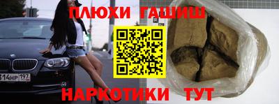 крисы Кунгур