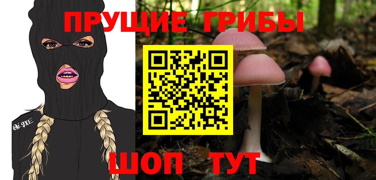 Псилоцибиновые грибы ЛСД  Вход с VPN  цена наркотик  Кашира 